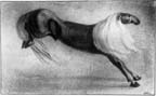 תמונה עבור: אלפרד קובין, סוס כלאיים, 1902-1903